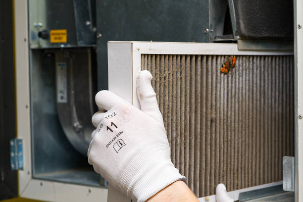 Best Affordable HVAC Duct Cleaning  in Forest Meadows, CA