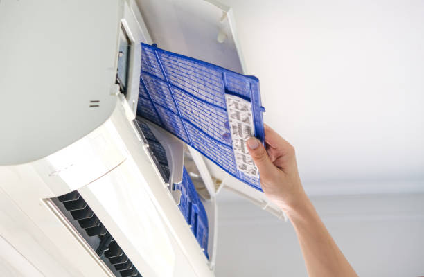 Best Affordable Duct Cleaning Services  in Forest Meadows, CA